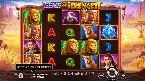 와일드 셀러브리티 버스 메가웨이즈