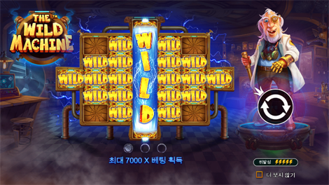 와일드 셀러브리티 버스 메가웨이즈
